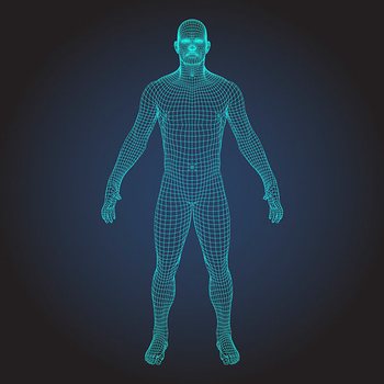 Body Scans